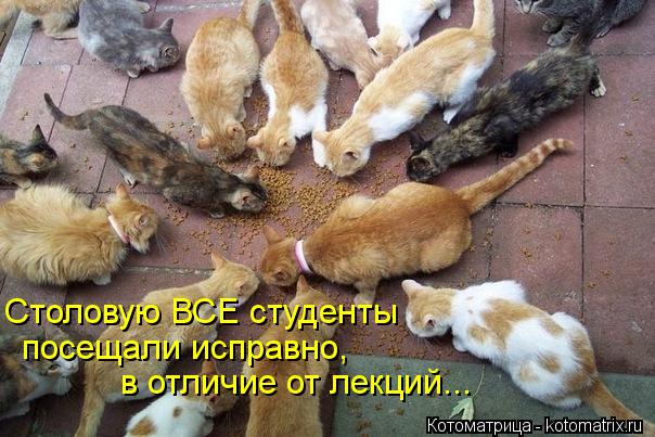 Студенты и мы - преподаватели.