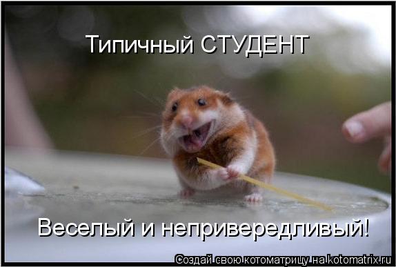 Студенты и мы - преподаватели.