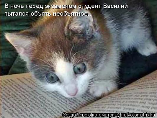 Студенты и мы - преподаватели.