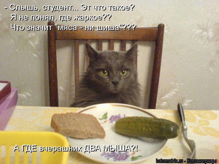 Студенты и мы - преподаватели.