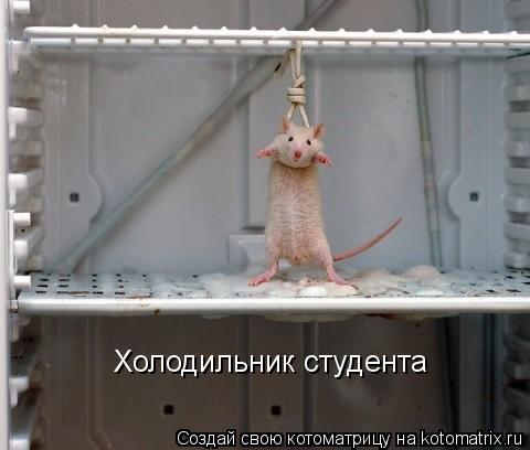 Студенты и мы - преподаватели.