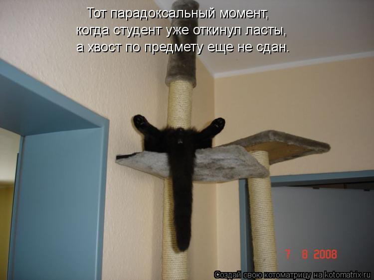 Студенты и мы - преподаватели.