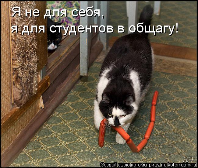 Студенты и мы - преподаватели.