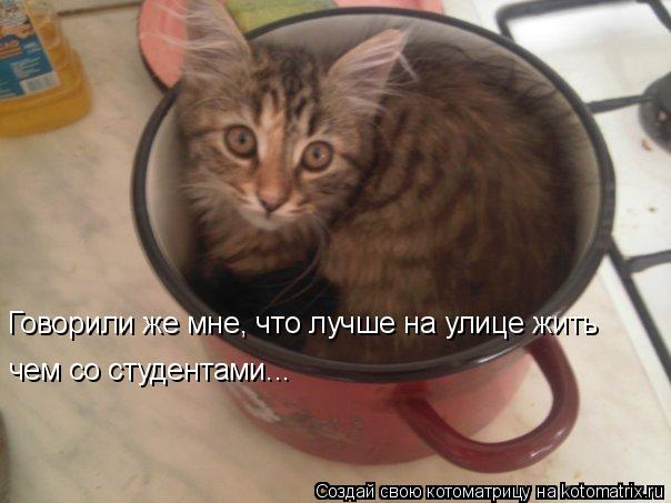 Студенты и мы - преподаватели.