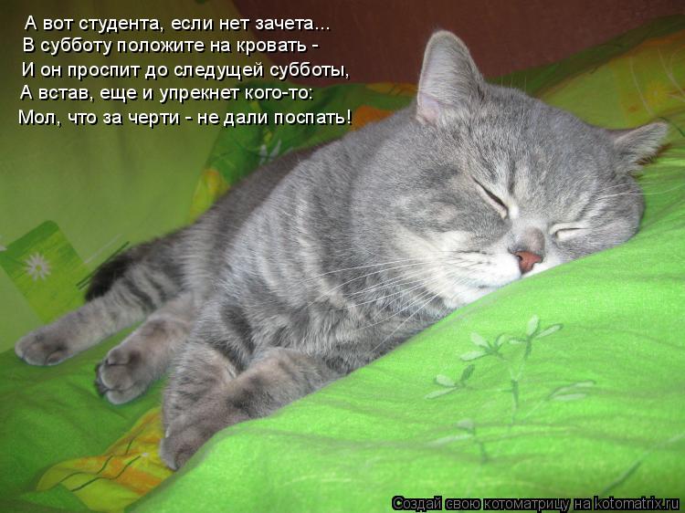 Студенты и мы - преподаватели.