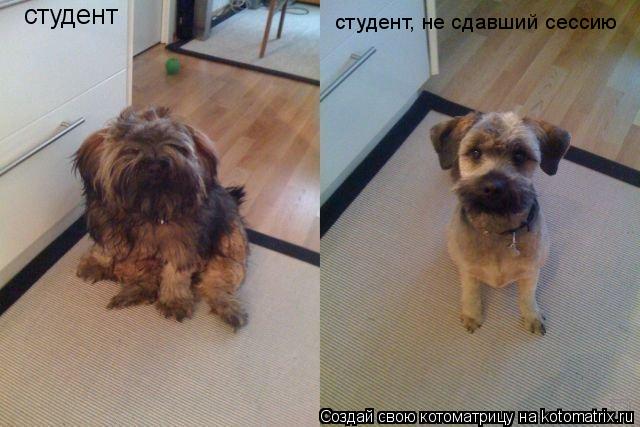 Студенты и мы - преподаватели.