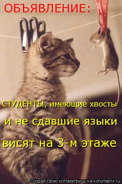 Студенты и мы - преподаватели.