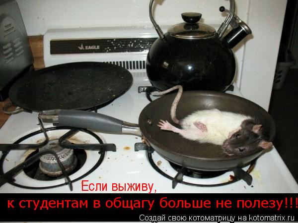 Студенты и мы - преподаватели.