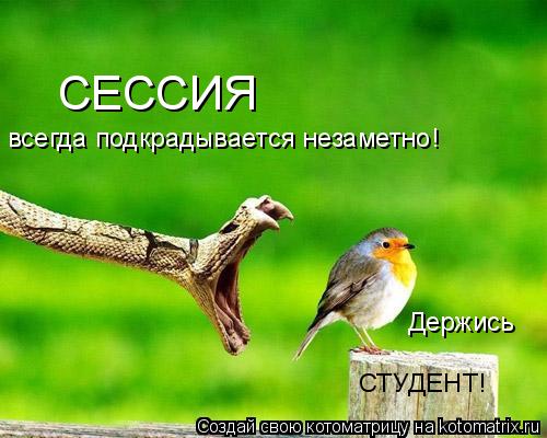 Студенты и мы - преподаватели.