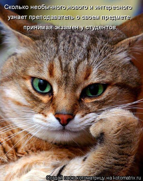 Студенты и мы - преподаватели.