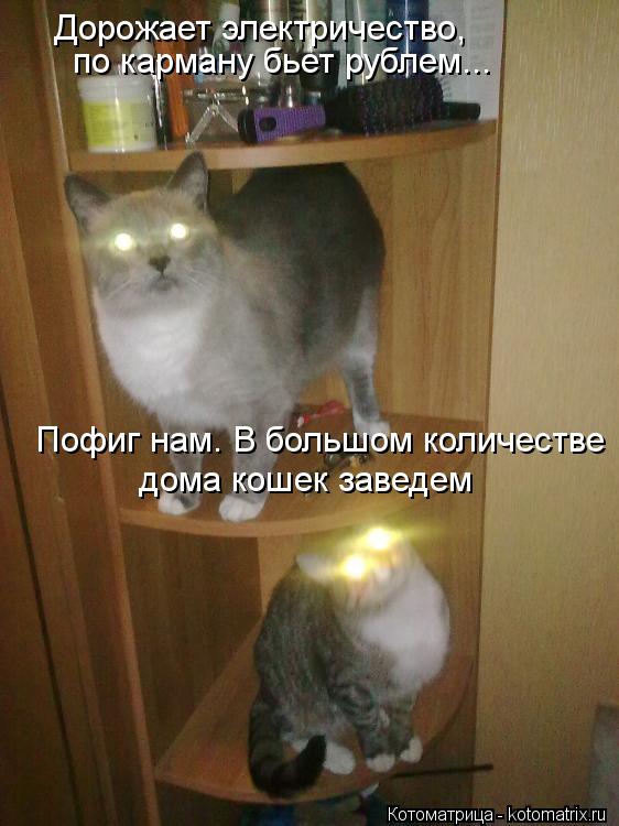 электротехника юмор