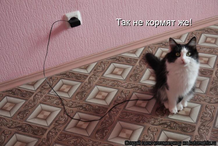 электротехника юмор