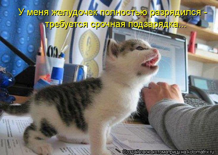 электротехника юмор