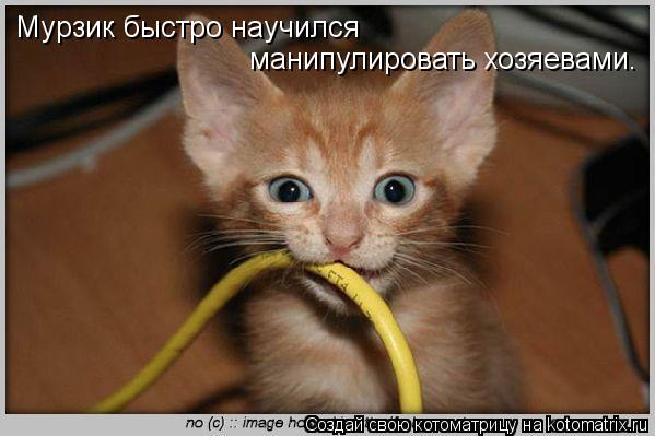 электротехника юмор