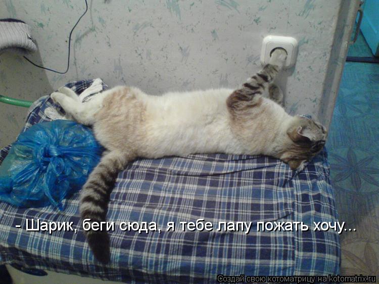 электротехника юмор