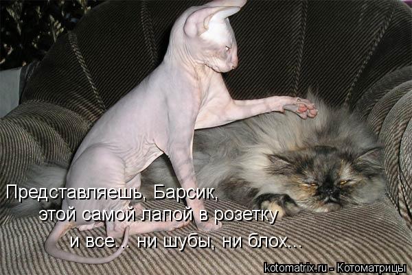 электротехника юмор