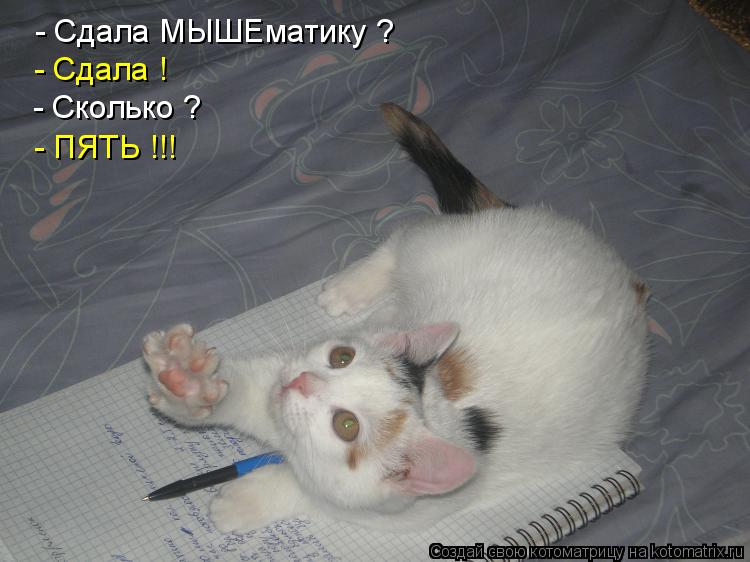 Студенты и мы - преподаватели.
