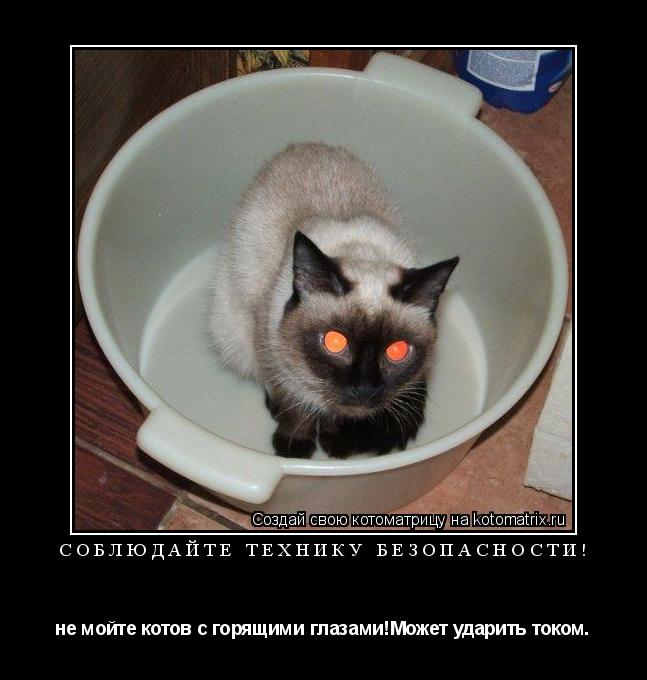 электротехника юмор