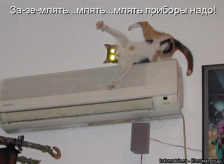 электротехника юмор