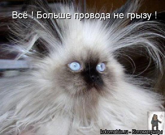 электротехника юмор