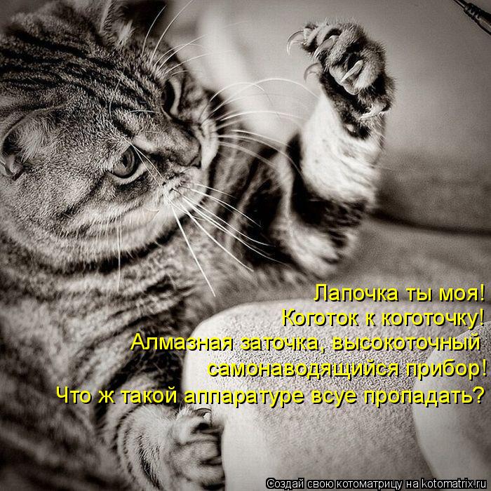 электротехника юмор