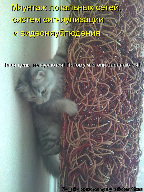 электротехника юмор