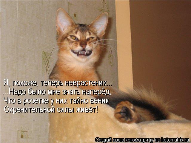 электротехника юмор