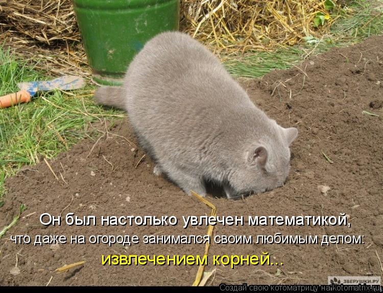 юмор
