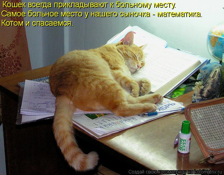 юмор