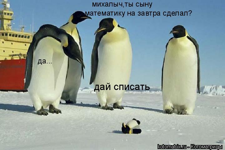 юмор