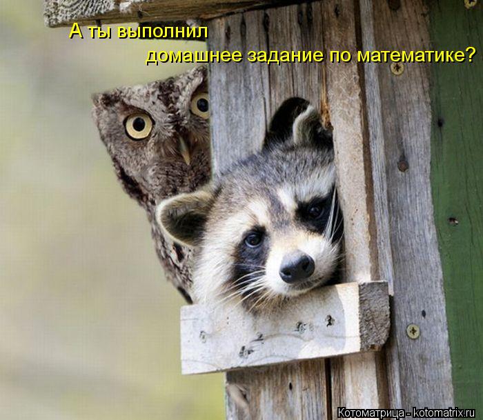 юмор