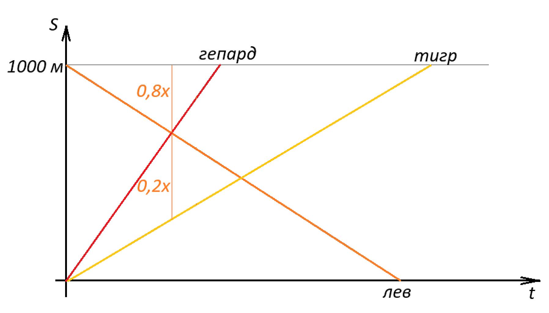 Тигр, лев и гепард