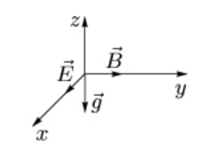 поле_Женя7